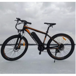 FAFREES Electric Mountain Bike 26inch 250W Removable Battery 13AH 36V E-Bike