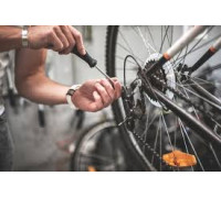 bikes